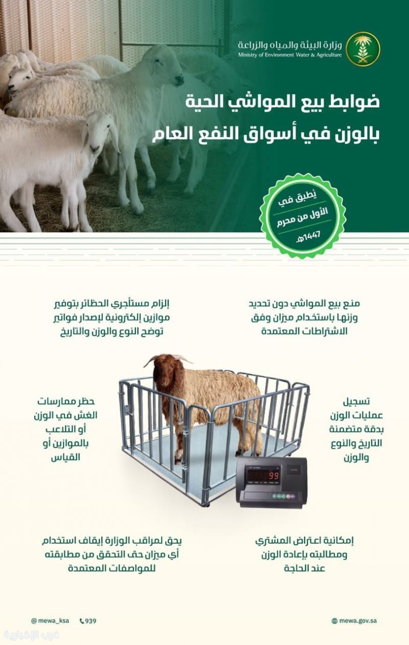وزارة البيئة والمياه والزراعة تُعلن ضوابط بيع المواشي الحية بالوزن وزارة البيئة والمياه والزراعة تُعلن ضوابط بيع المواشي الحية بالوزن