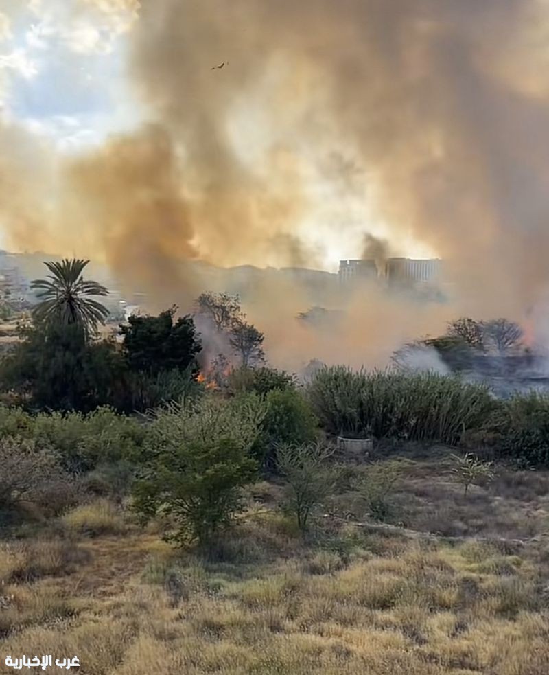 الدفاع المدني بأبها يسيطر على حريق في أشجار وأعشاب بوادي أبها ولا إصابات الدفاع المدني بأبها يسيطر على حريق في أشجار وأعشاب بوادي أبها ولا إصابات