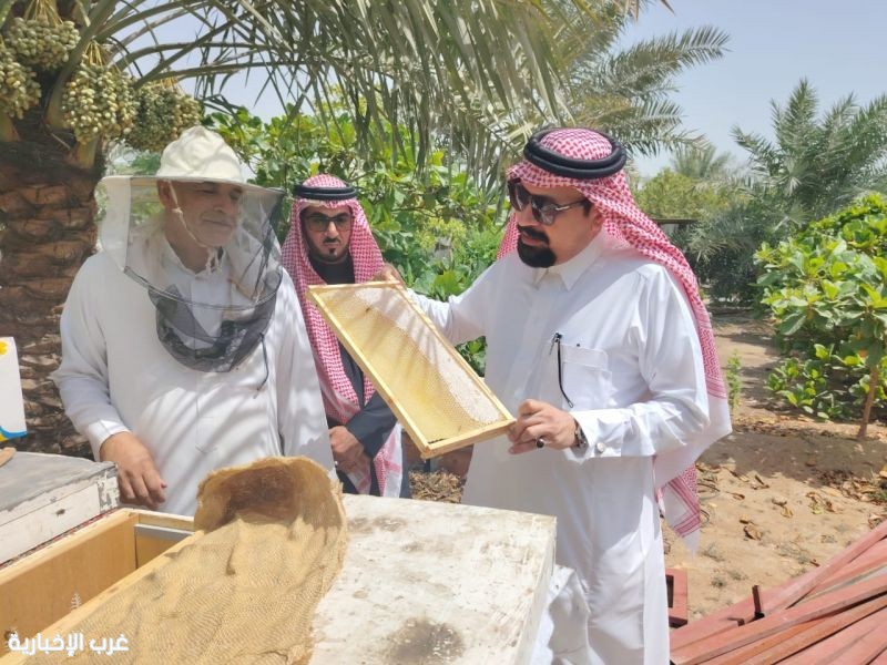 مدير مكتب الزراعة بالقطيف يقف على مراحل فرز "عسل المانجروف" في موسمه الخامس
