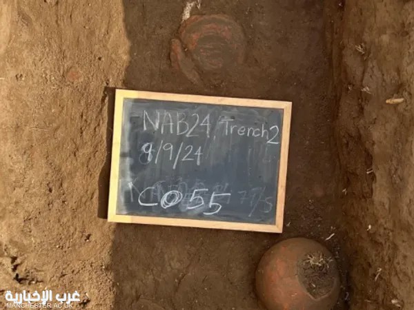 مصر.. علماء يعثرون على مدينة مفقودة في دلتا