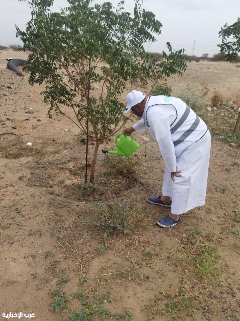 مكاتب “البيئة” بالعاصمة المقدسة وخليص وأضم تواصل تنفيذ مبادرات سقيا المزروعات لتعزيز استدامة الغطاء النباتي مكاتب “البيئة” بالعاصمة المقدسة وخليص وأضم تواصل تنفيذ مبادرات سقيا المزروعات لتعزيز استدامة الغطاء النباتي