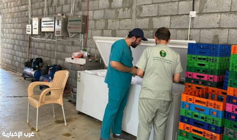 "بيئة الخرج" تضبط مسلخ دواجن عشوائي وتوقف نشاطه المخالف