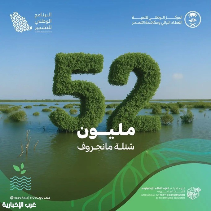 “الغطاء النباتي” زراعة 52 مليون شجرة مانجروف على سواحل المملكة بالشراكة مع مختلف القطاعات “الغطاء النباتي” زراعة 52 مليون شجرة مانجروف على سواحل المملكة بالشراكة مع مختلف القطاعات