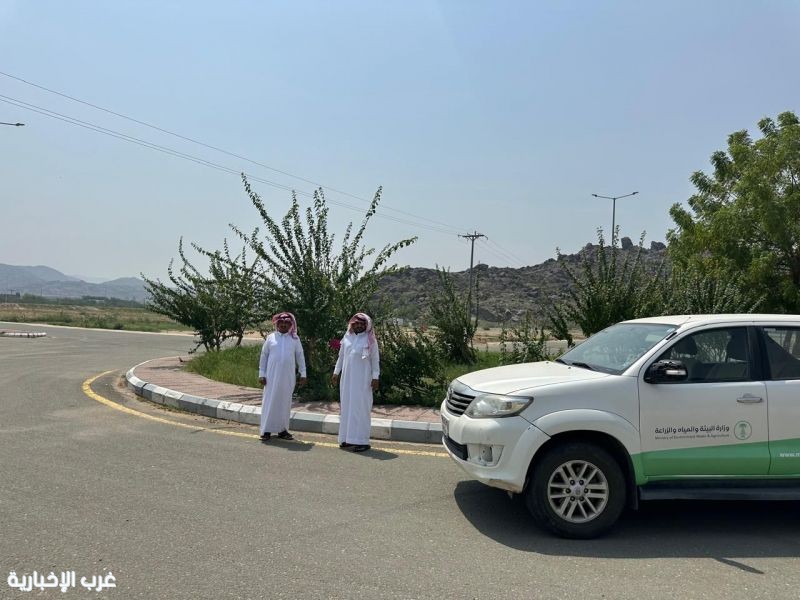بيئة العرضيات تنفذ مبادرات بيئية لتعزيز الاستدامة بيئة العرضيات تنفذ مبادرات بيئية لتعزيز الاستدامة