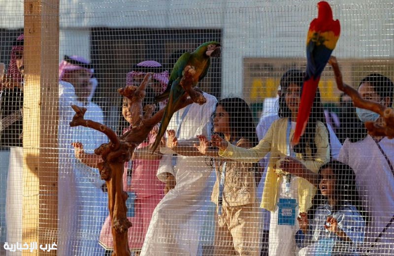 معرض الصقور والصيد السعودي الدولي 2025 يقدّم "السفاري" منطقة جديدة للتعريف بالحيوانات المهددة بالانقراض