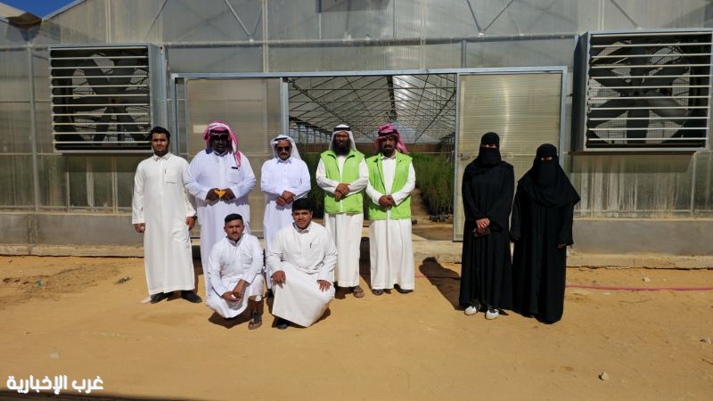انطلاقاً من الشراكة المجتمعية وتعزيزاً للاستدامة.. "بيئة دومة الجندل" تعزز التعاون مع المركز الوطني لتنمية الغطاء النباتي بمشاركة المتطوعين