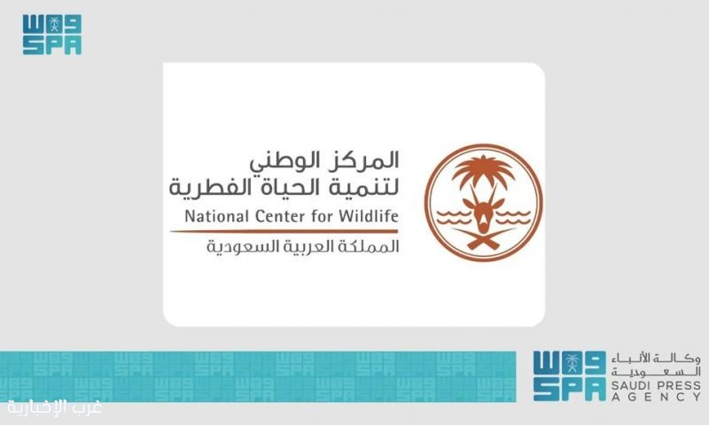 المملكة تشارك في مؤتمر الاتحاد الدولي لصون الطبيعة 2025 بأبوظبي المملكة تشارك في مؤتمر الاتحاد الدولي لصون الطبيعة 2025 بأبوظبي