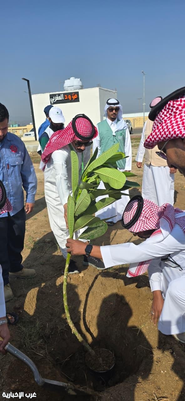 بيئة الكامل توزع 400 شتلة على ثانوية الكامل ضمن حملة التشجير بيئة الكامل توزع 400 شتلة على ثانوية الكامل ضمن حملة التشجير