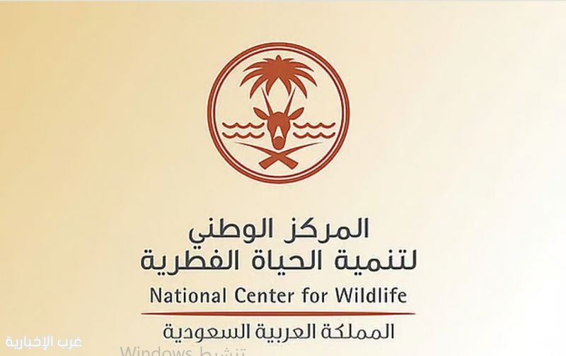 الحياة الفطرية يُطلِق برنامجًا وطنيًا لحماية البحار السعودية من الأنواع غير الأصيلة والغازية الحياة الفطرية يُطلِق برنامجًا وطنيًا لحماية البحار السعودية من الأنواع غير الأصيلة والغازية