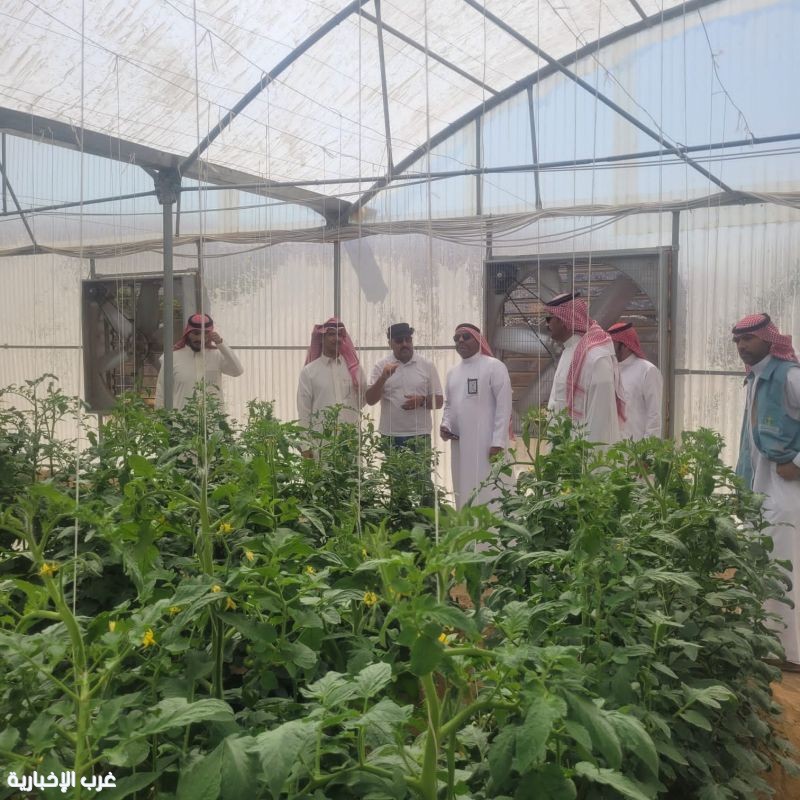 بيئة الكامل تزور مشروع استزراع الأحياء المائية بوادي المرواني بيئة الكامل تزور مشروع استزراع الأحياء المائية بوادي المرواني