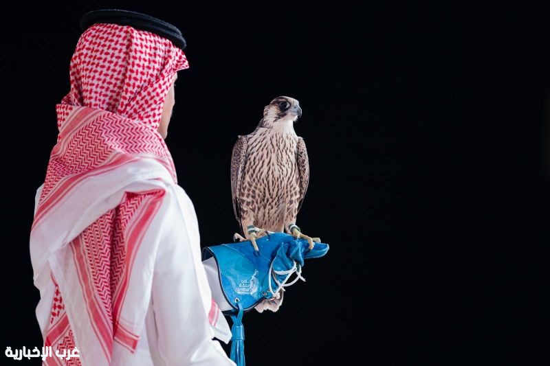 بيع شاهين فرخ في الليلة الـ19 لمزاد نادي الصقور السعودي 2025