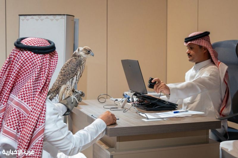 بدء تسجيل الراغبين في المشاركة بمنافسات كأس نادي الصقور السعودي ومهرجان الملك عبدالعزيز 2025 بدء تسجيل الراغبين في المشاركة بمنافسات كأس نادي الصقور السعودي ومهرجان الملك عبدالعزيز 2025