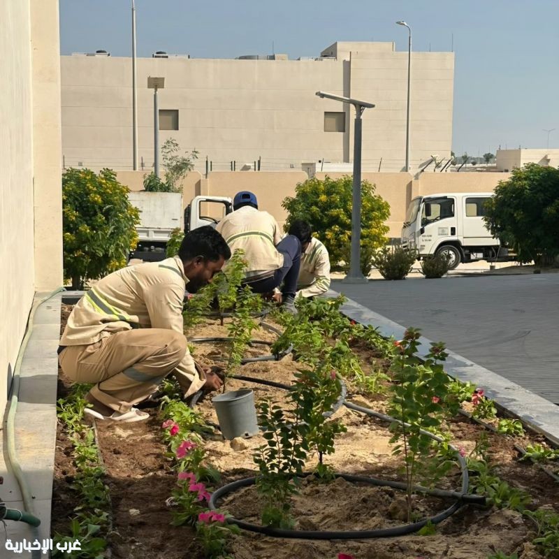 "مدرستنا خضراء".. مبادرة لاستدامة البيئة المدرسية في الجبيل الصناعية