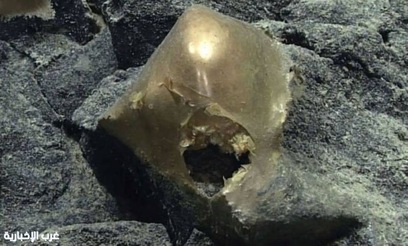 علماء يعثرون على كرة ذهبية في المحيط.. ما سرها؟ علماء يعثرون على كرة ذهبية في المحيط.. ما سرها؟