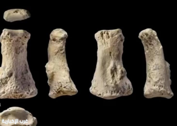 اكتشاف أقدم عظم بشري يعود تاريخه إلى 90 ألف سنة اكتشاف أقدم عظم بشري يعود تاريخه إلى 90 ألف سنة