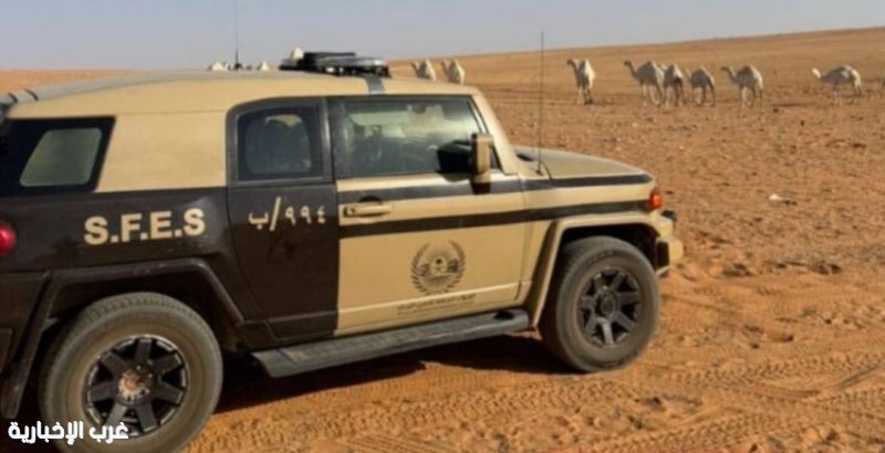 ضبط خالف نظام البيئة برعي (30) متنًا من الإبل في "محمية" ضبط خالف نظام البيئة برعي (30) متنًا من الإبل في "محمية"
