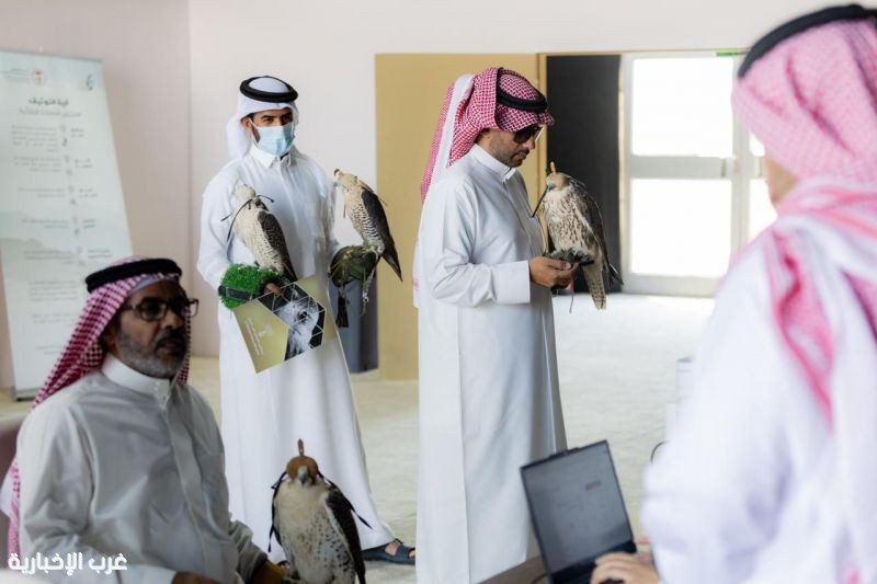 إقبال لافت على توثيق ملكية الصقور في منافسات كأس نادي الصقور 2025 بالخبر إقبال لافت على توثيق ملكية الصقور في منافسات كأس نادي الصقور 2025 بالخبر