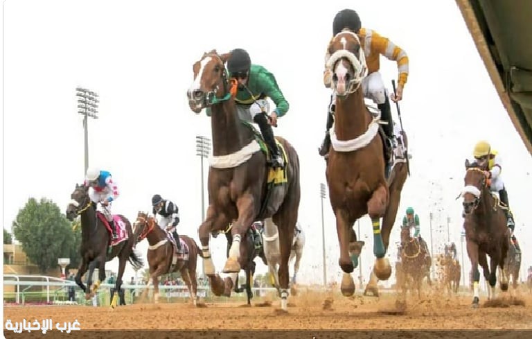 اليوم.. ميدان سباقات الخيل بنجران يُنظّم حفل سباقه العاشر للموسم الحالي اليوم.. ميدان سباقات الخيل بنجران يُنظّم حفل سباقه العاشر للموسم الحالي