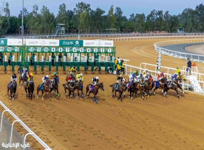 ميدان سباقات الخيل بنجران يُعلن نتائج سباقه العاشر