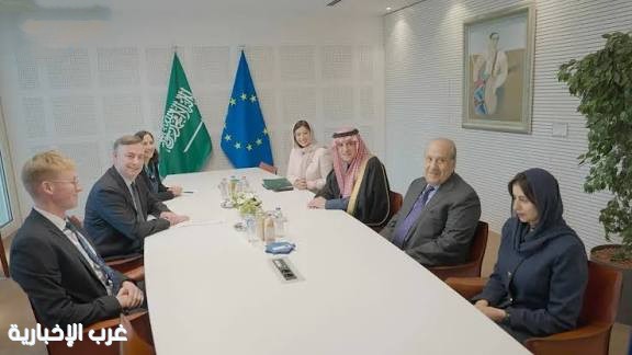 وزير الدولة للشؤون الخارجية يلتقي بعضوة البرلمان الأوروبي