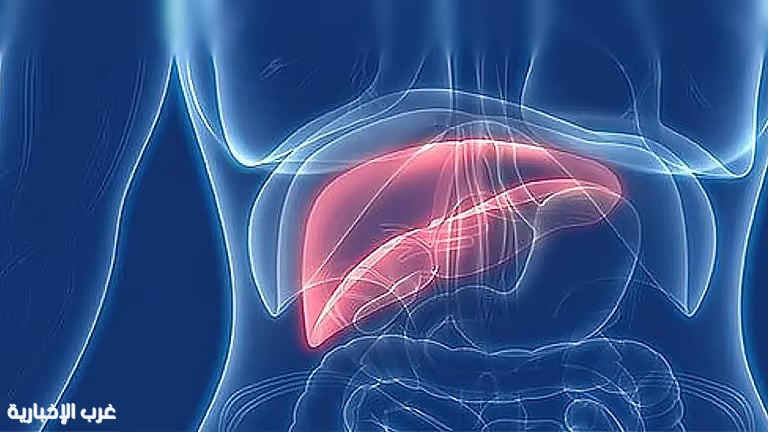 “خبير قلب يحذر: الدهون على الكبد تهدد صحة الشرايين”