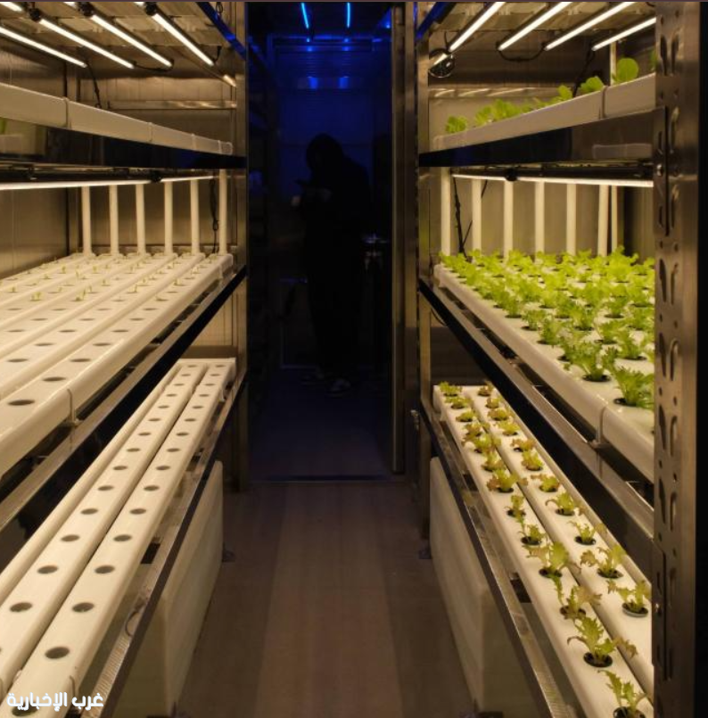 مزرعة ذكية على متن السفن لتزويد العاملين بالمناطق البحرية بالمنتجات الطازجة في الصين