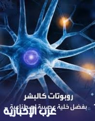 فريق دولي يطور نظامًا دماغيًا متكاملًا لنقل الإشارات العصبية بسرعة فائقة فريق دولي يطور نظامًا دماغيًا متكاملًا لنقل الإشارات العصبية بسرعة فائقة