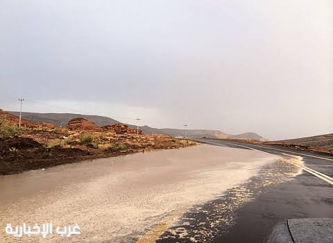"أمطار خفيفة تجري سيول الخير على مراكز الظلفة وعنتر ورحيب في تبوك"