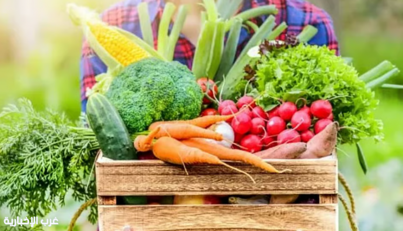 دراسة: 6 فوائد مشروطة للأنظمة الغذائية النباتية للأطفال دراسة: 6 فوائد مشروطة للأنظمة الغذائية النباتية للأطفال