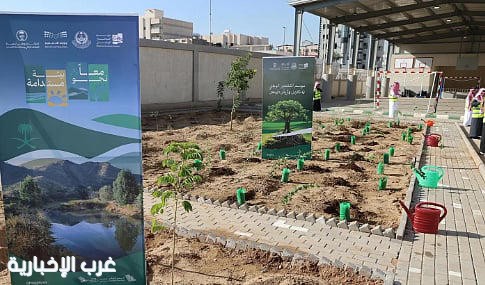 مُدير التعليم بالمدينة المنورة يُدشن مبادرة لـ تشجير المدارس بزراعة 200 ألف شجرة مُدير التعليم بالمدينة المنورة يُدشن مبادرة لـ تشجير المدارس بزراعة 200 ألف شجرة