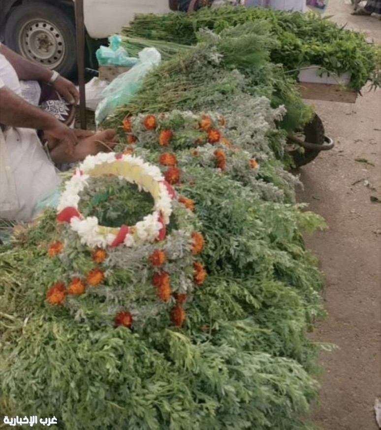 عبق الفل والكادي.. الأعشاب العطرية تروي حكاية الجمال والتراث في جازان