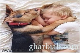 صور/ صداقة مميزة بين طفل وكلب!