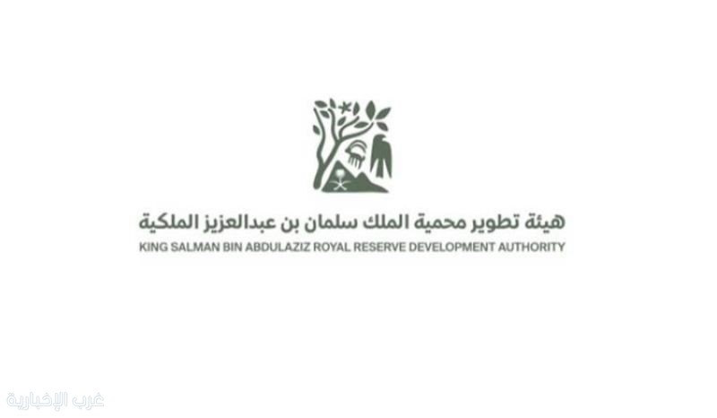 محمية الملك سلمان الملكية تضم أكثر من 550 نوعًا نباتيًا ضمن جهود تعزيز التنوع البيولوجي