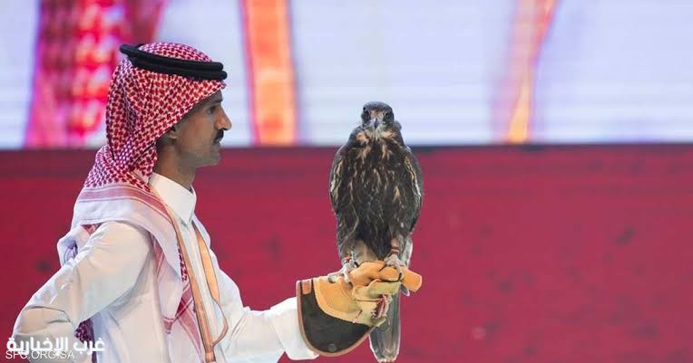 أكثر من 16 ألف صقر خلال 6 أعوام.. مهرجان الصقور يؤكد مكانته كأكبر تجمع عالمي للصقارة أكثر من 16 ألف صقر خلال 6 أعوام.. مهرجان الصقور يؤكد مكانته كأكبر تجمع عالمي للصقارة