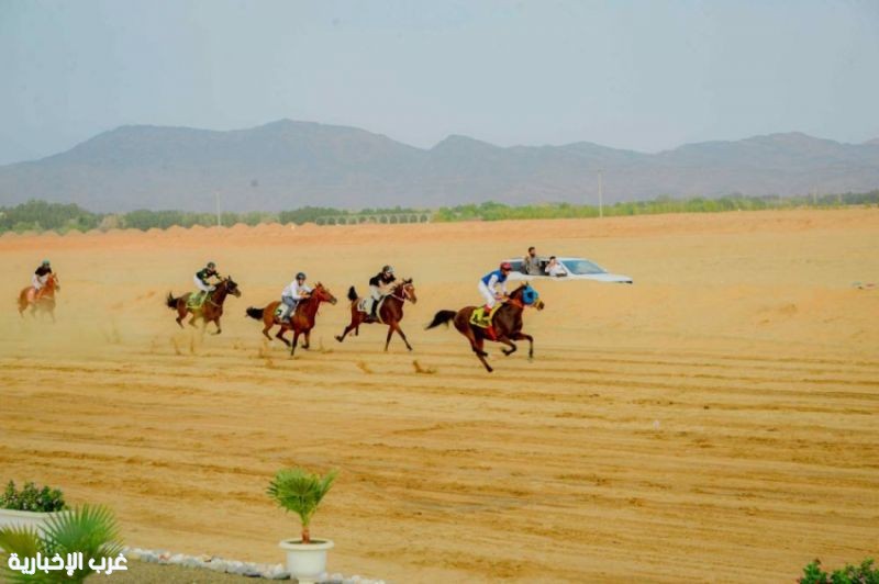 برعاية أمير منطقة الباحة .. انطلاق النسخة السادسة لسباق الفروسية بمحافظة الحجرة
