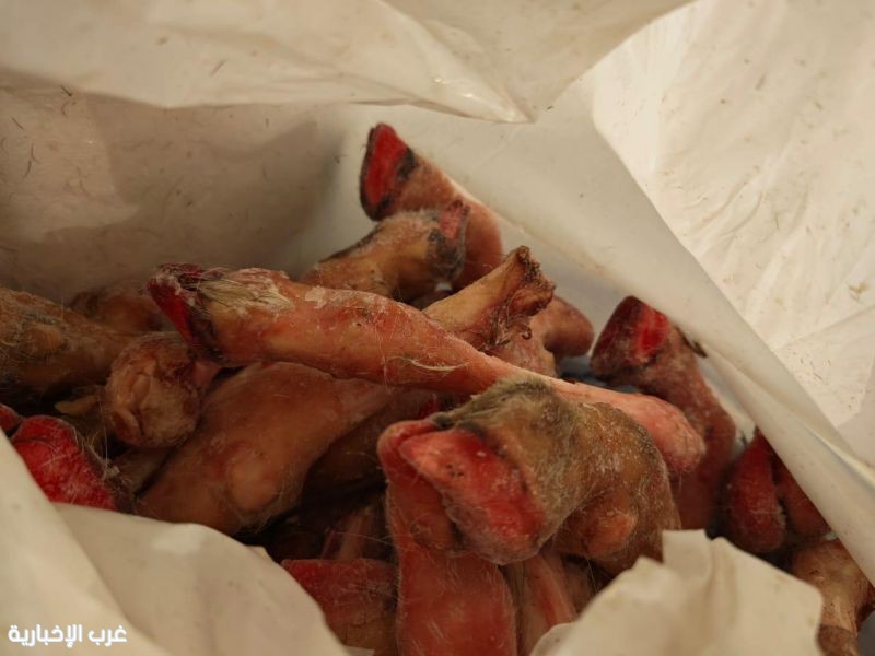 أمانة جدة تتلف 4 أطنان من اللحوم الفاسدة وتغلق عدة مواقع مخالفة