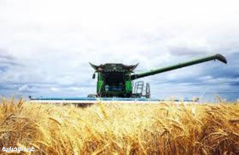 الزراعة الأسترالية تسجّل رقمًا قياسيًا تاريخيًا بقيمة تقارب 100 مليار دولار