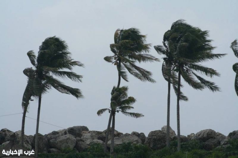 الأرصاد: تنبّه من رياح نشطة تُقلِّص الرؤية في الشرقية حتى المساء