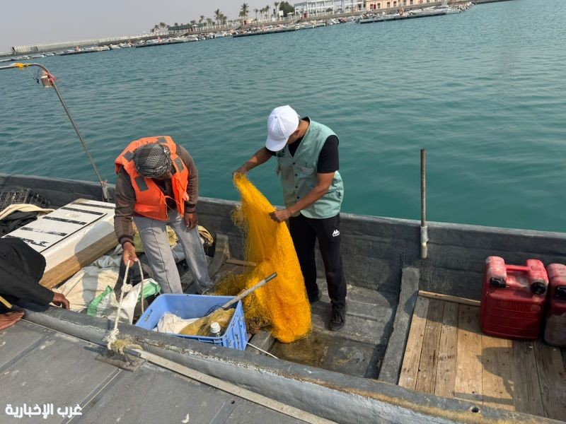 متابعة ميدانية لحملة الامتثال لأنظمة الصيد البحري بمرفأ ثول متابعة ميدانية لحملة الامتثال لأنظمة الصيد البحري بمرفأ ثول