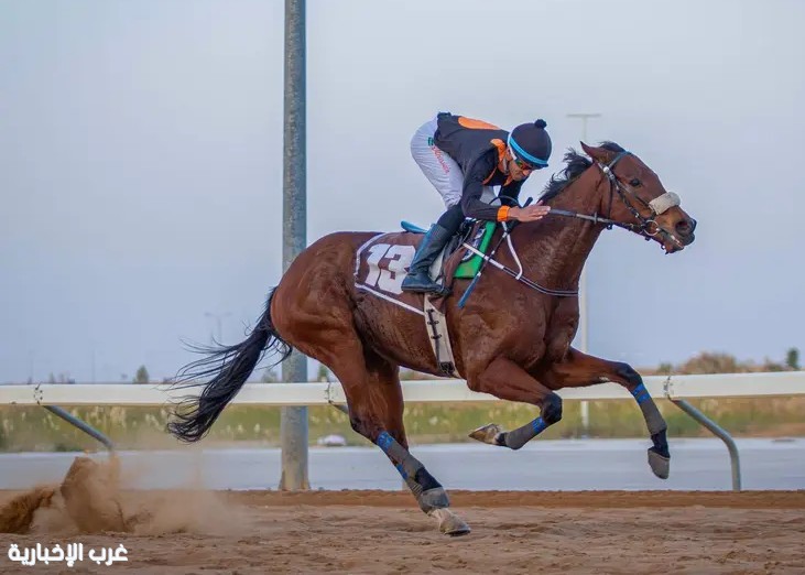 ميدان الملك سعود للفروسية بالقصيم يُقيم حفل سباقه العاشر