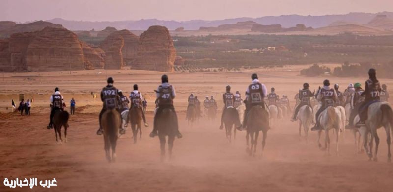 العلا تحتضن سباقي كأس وزارة الرياضة وكأس الشباب والناشئين للقدرة والتحمل