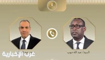 مصر ومالي تبحثان تعزيز التعاون ومكافحة الإرهاب في أفريقيا