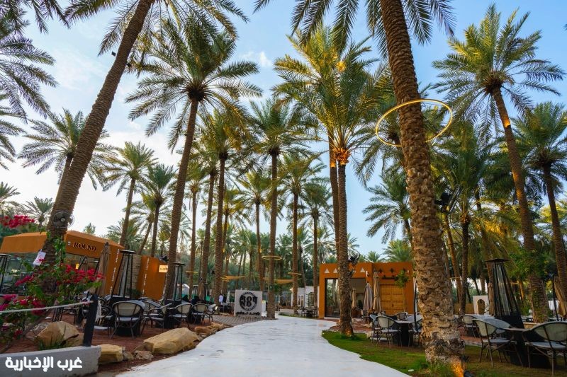 القصيم.. واحة الهدوء والتراث ووجهة مثالية للعائلات