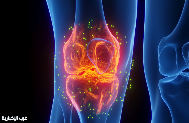 دراسة حديثة: الأطعمة النباتية تحمي العظام وتقلّل خطر هشاشة العظام