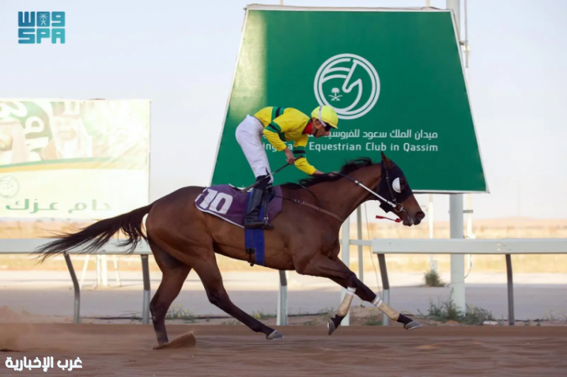 ميدان الملك سعود للفروسية بالقصيم ينظم حفله الحادي عشر ضمن موسم سباقات 1447هـ