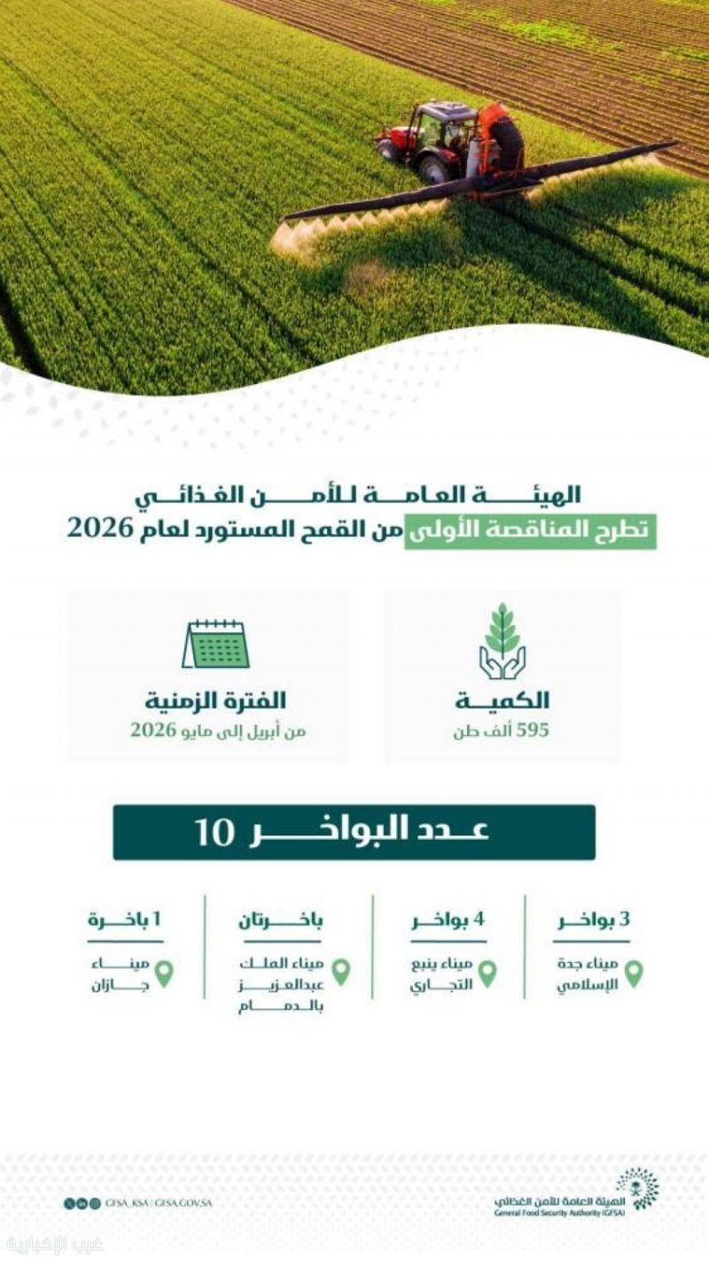 الأمن الغذائي يعلن طرح أول مناقصة لاستيراد القمح لعام 2026