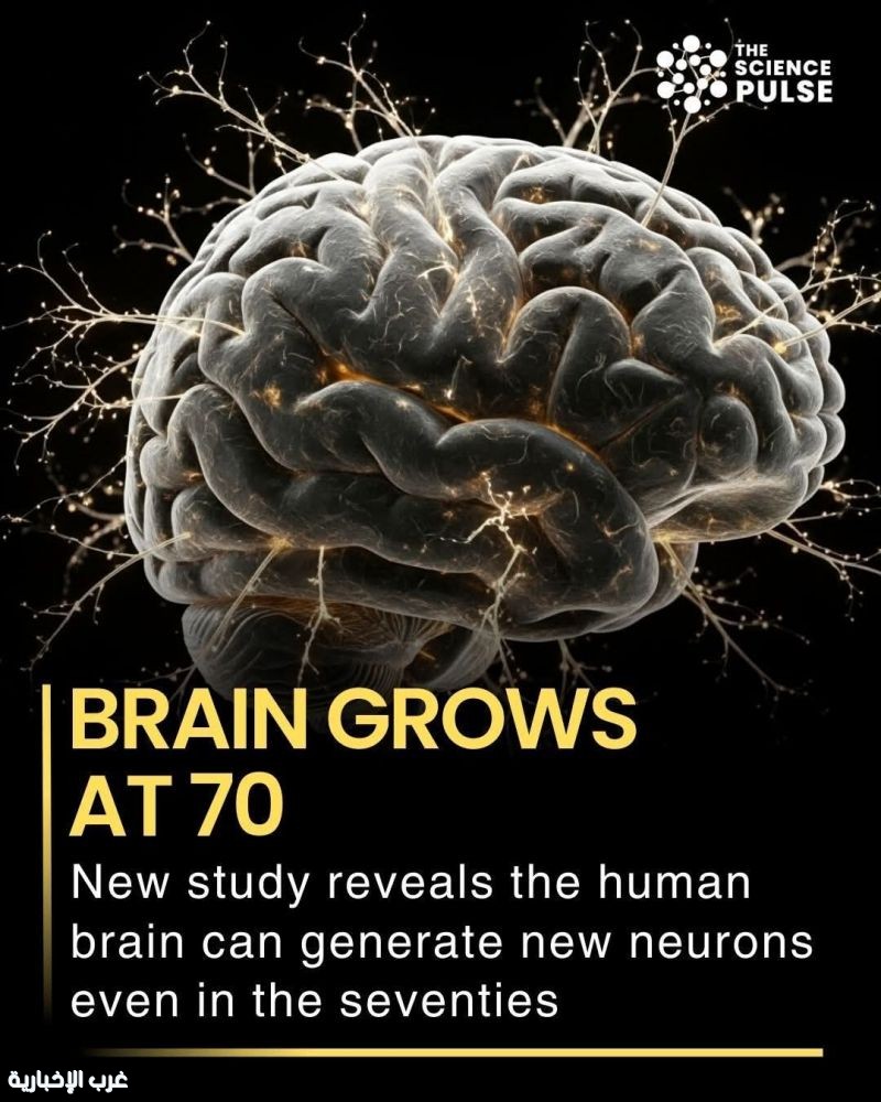 يتبدّل الجسد ويُعاد بناؤه، بينما تبقى الروح سرًّا من أمر الله. يتبدّل الجسد ويُعاد بناؤه، بينما تبقى الروح سرًّا من أمر الله.