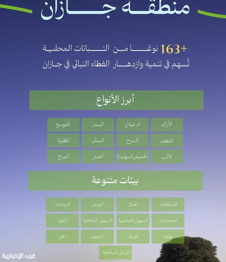 جازان تزدهر بأكثر من 163 نوعًا من النباتات المحلية ضمن جهود البرنامج الوطني للتشجير