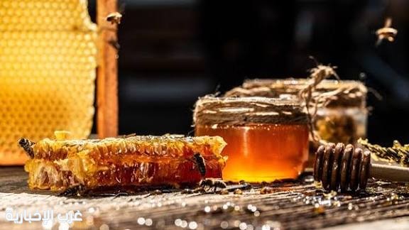 مهرجان العسل بالجوف ينظم محاضرة توعوية حول أخطار المبيدات على النحل