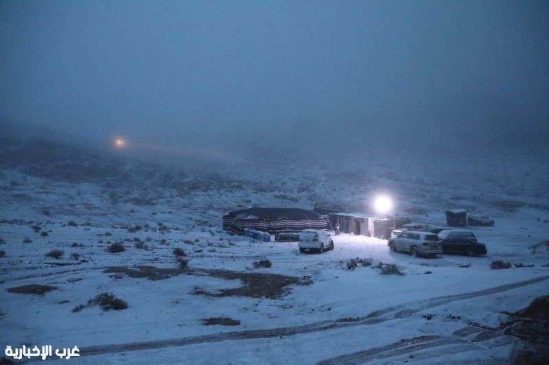 الأرصاد: طقس قاسٍ يضرب 9 مناطق بين موجات باردة وضباب كثيف وتنبيهات حتى الأحمر